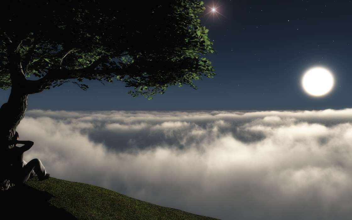 Trees, People, Night, Clouds, Landscape