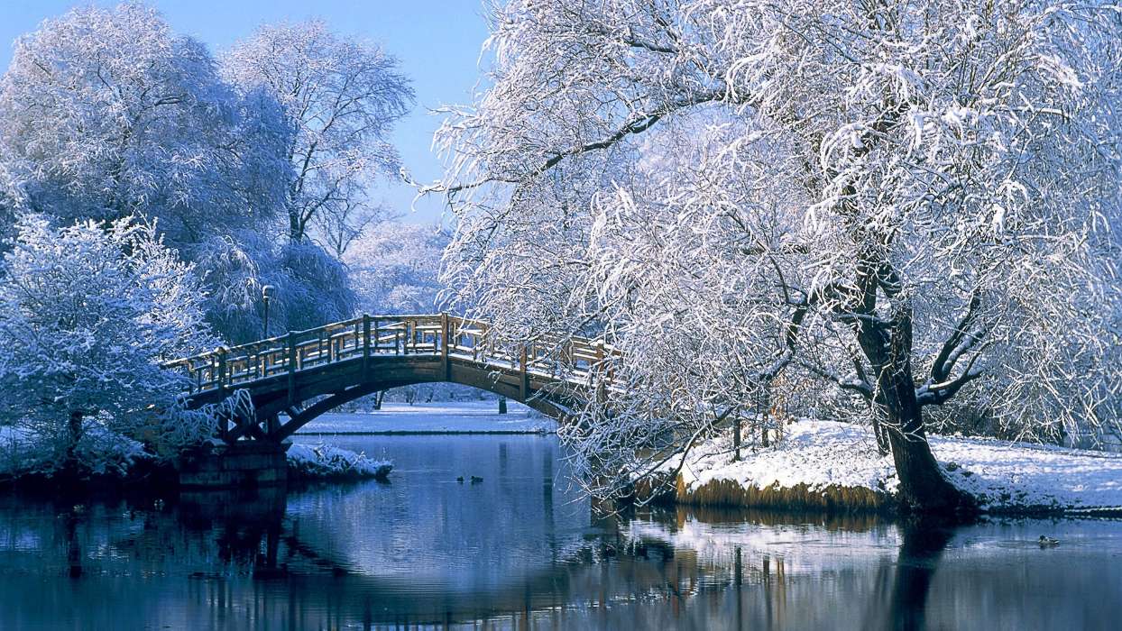 Trees, Bridges, Landscape, Rivers, Winter