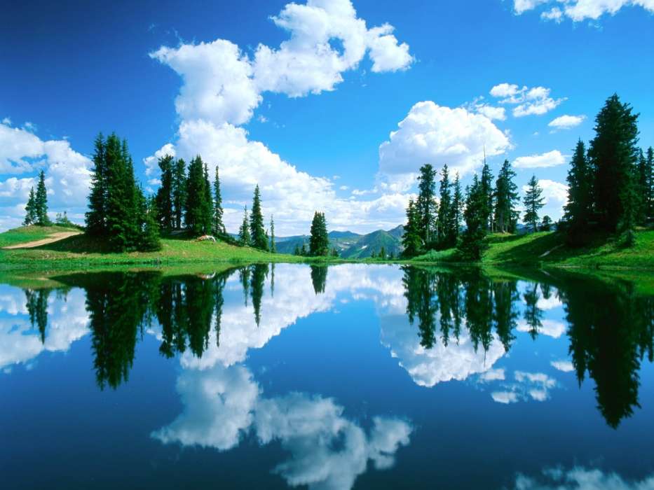 Landscape, Water, Trees, Sky