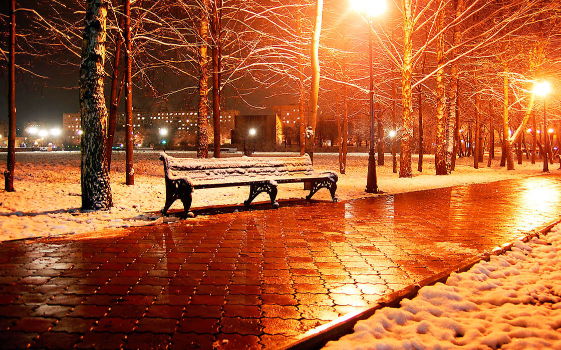 Trees, Night, Landscape, Snow, Streets, Winter