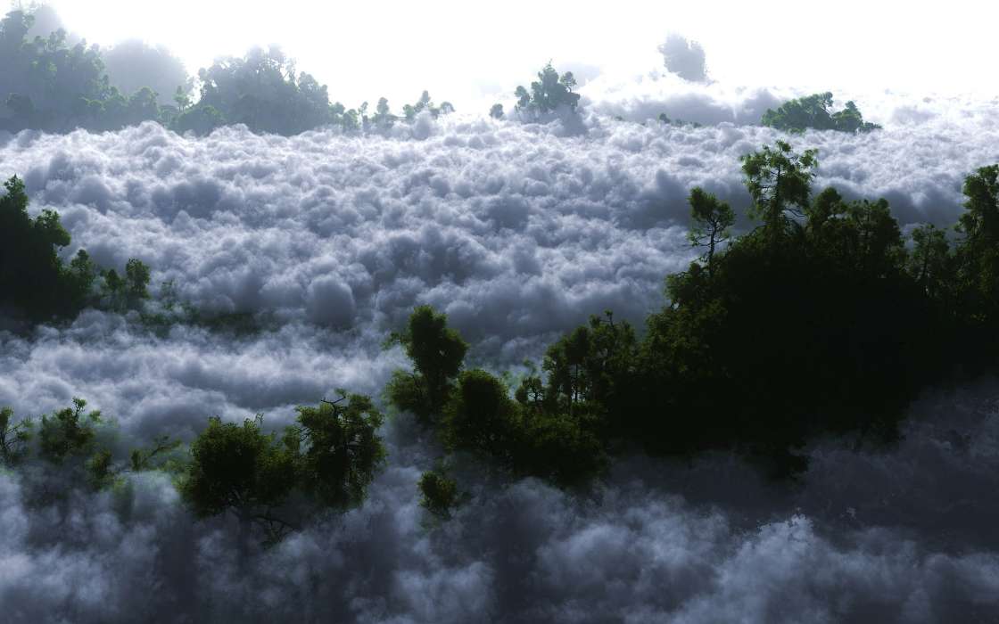 Trees,Clouds,Landscape