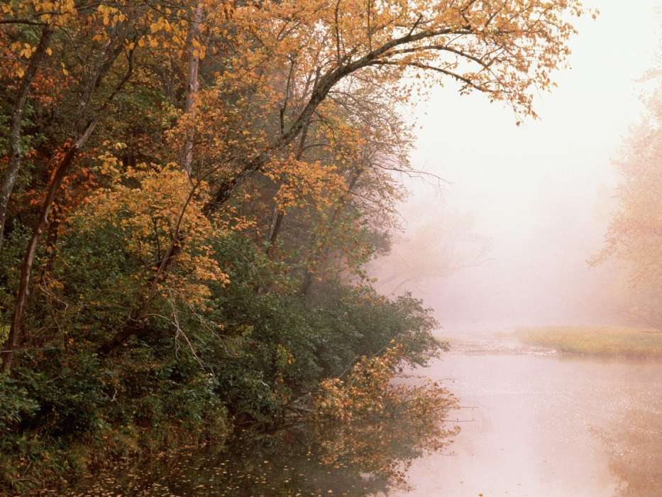 Trees,Autumn,Landscape,Rivers
