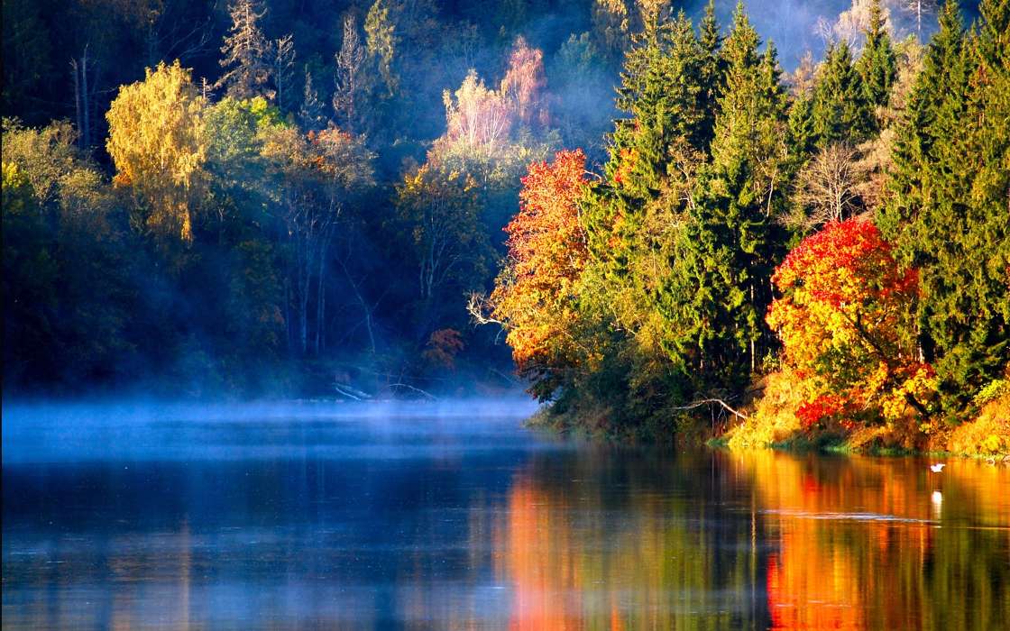 Trees,Autumn,Landscape,Rivers