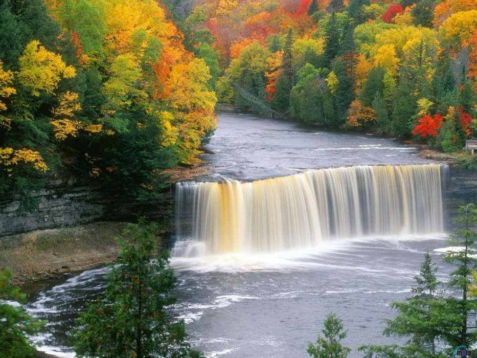 Trees, Autumn, Landscape, Rivers, Waterfalls