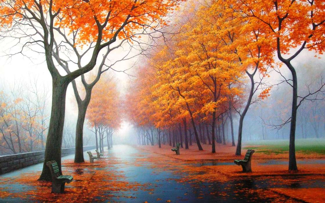 Trees, Autumn, Landscape, Streets
