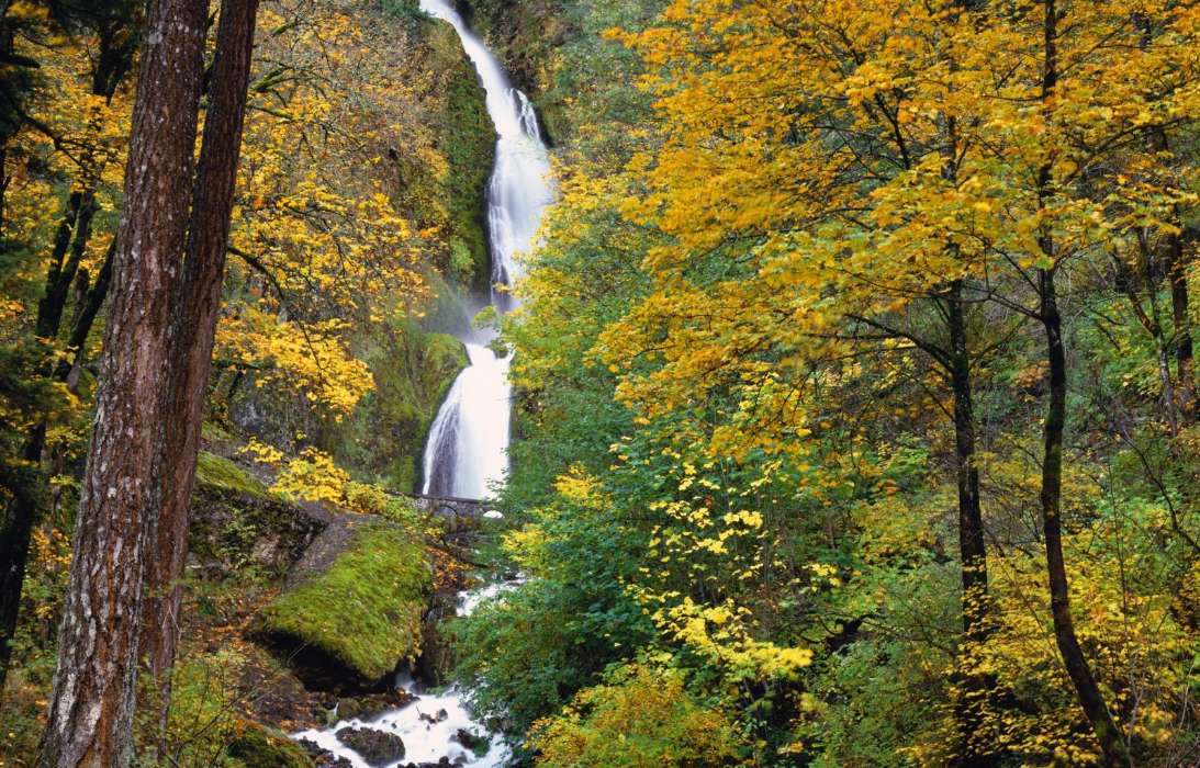 Landscape, Trees, Autumn, Waterfalls