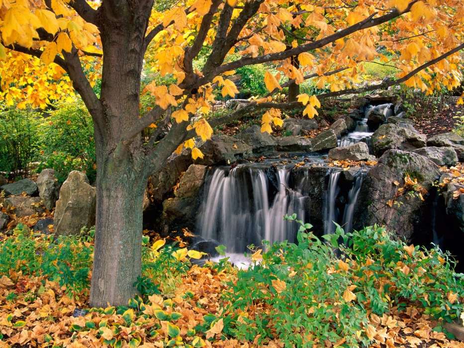 Trees,Autumn,Landscape,Waterfalls