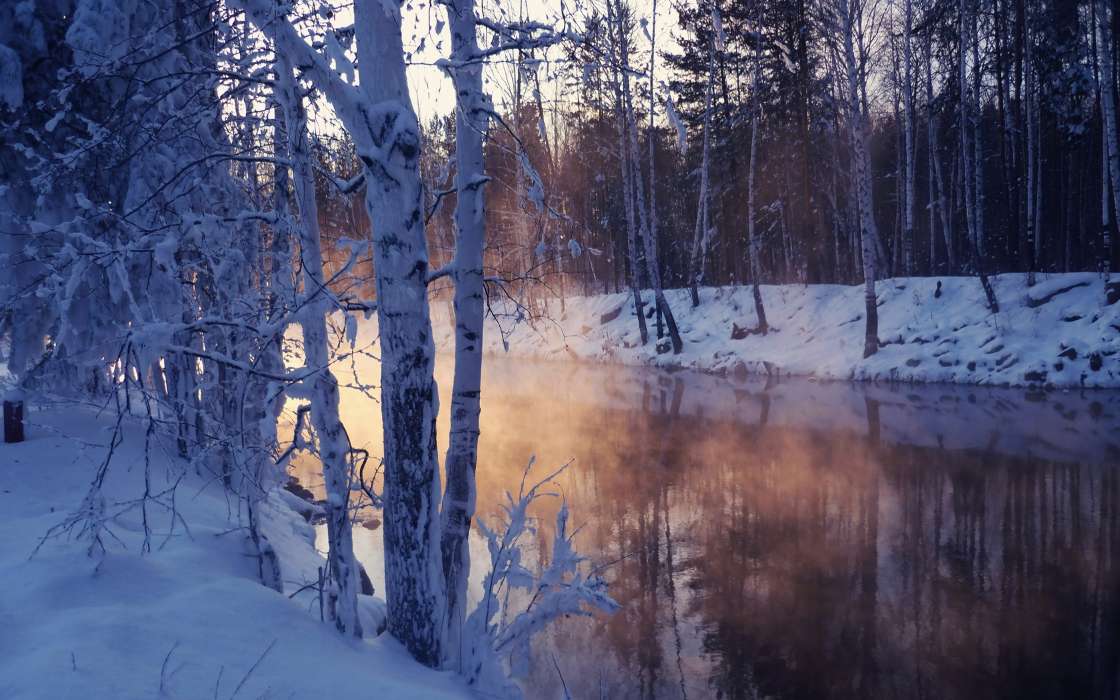 Trees, Landscape, Rivers, Snow