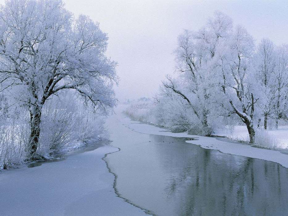 Trees, Landscape, Rivers, Snow, Winter