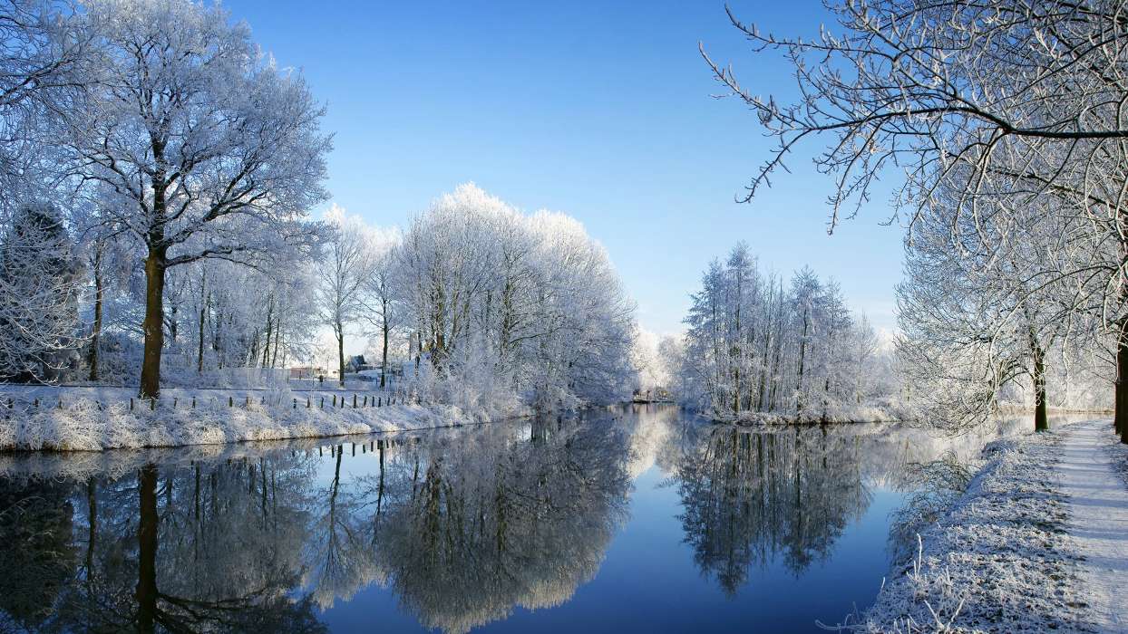 Trees, Landscape, Rivers, Winter