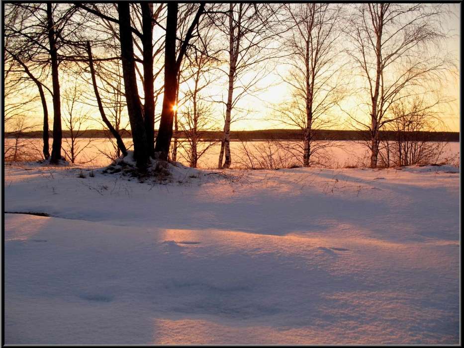 Landscape, Winter, Trees, Sunset