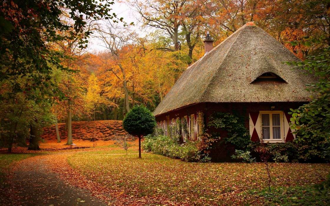 Houses,Autumn,Landscape