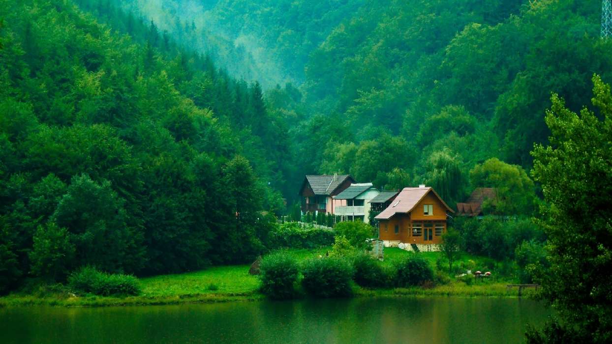 Houses, Nature, Water