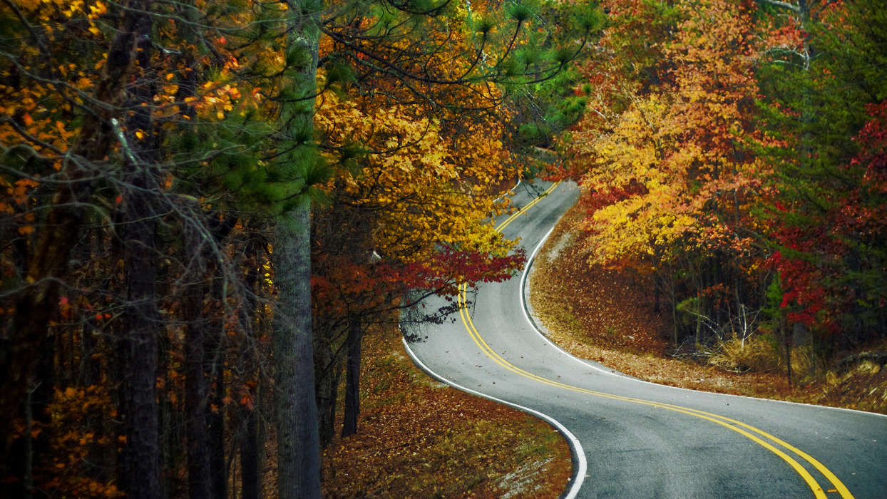 Roads,Autumn,Landscape