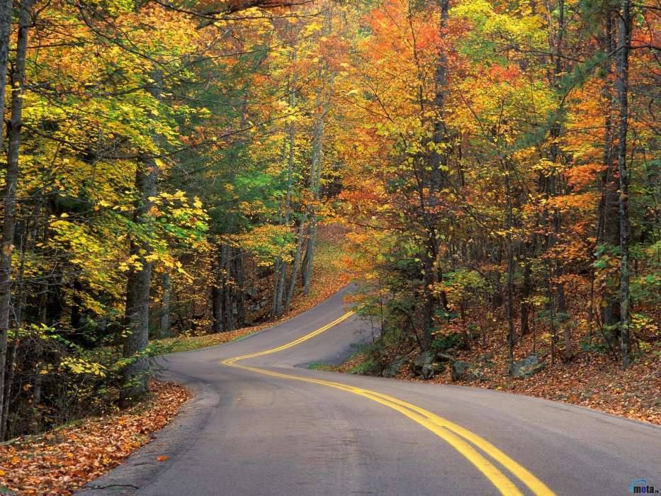 Landscape, Roads, Autumn