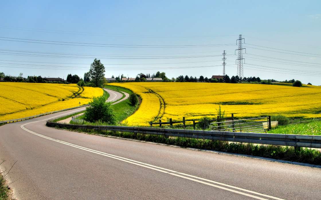 Roads, Landscape, Fields