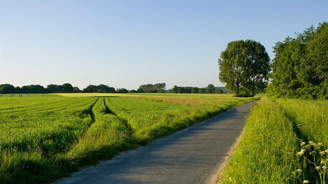 Roads,Landscape,Fields