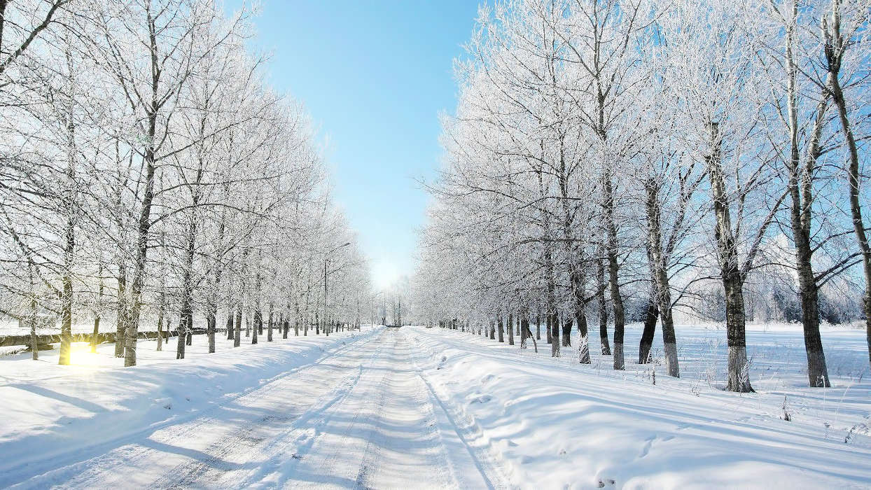 Roads,Landscape,Winter