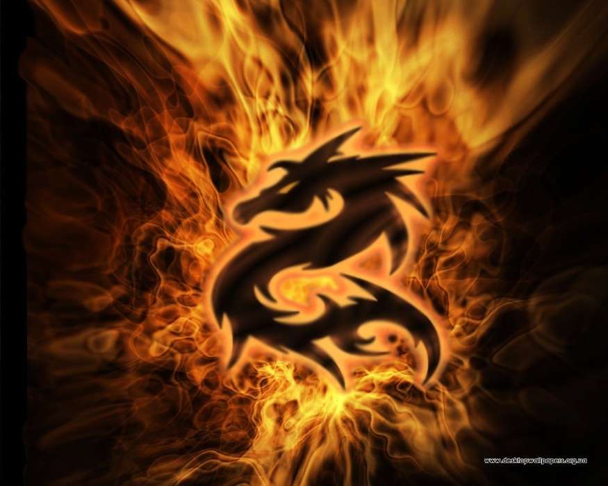 Backgrounds, Logos, Dragons, Fire