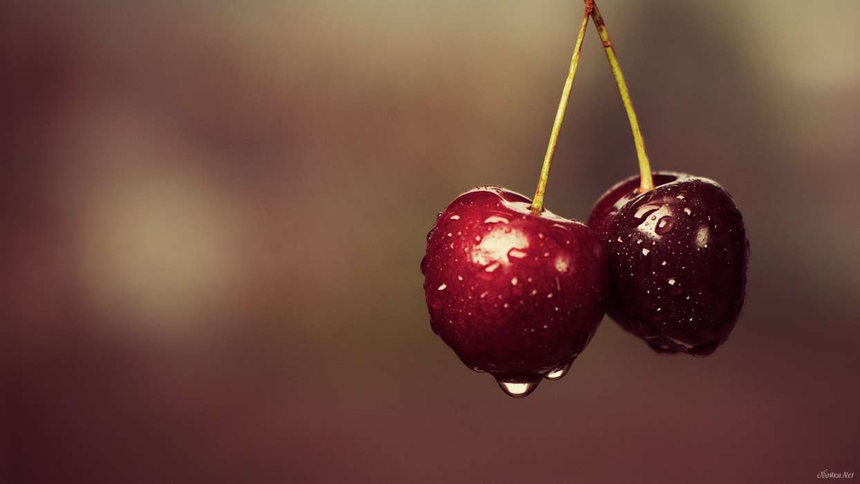 Food, Background, Fruits, Cherry