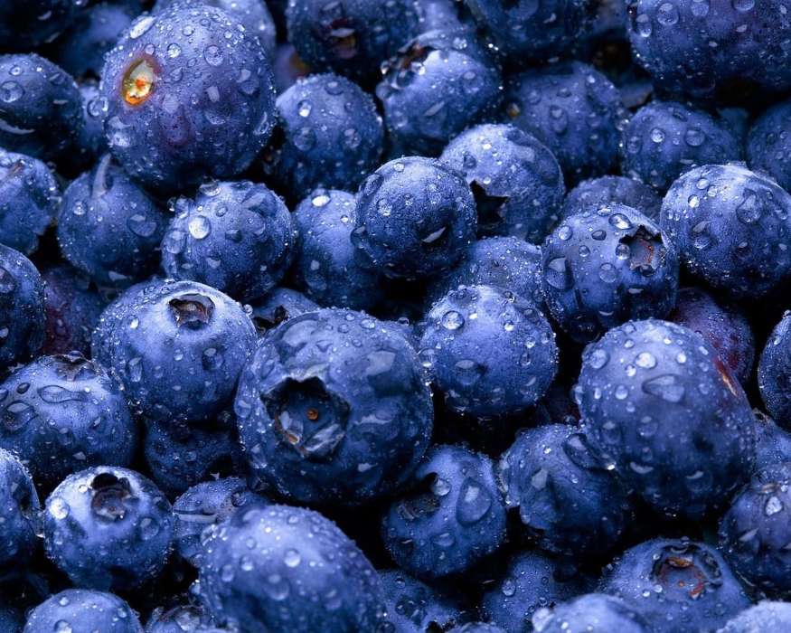 Plants, Food, Backgrounds, Blueberry, Berries