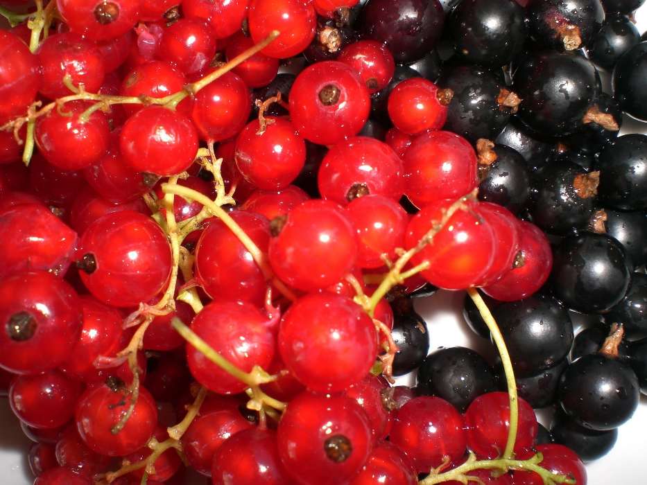 Fruits, Food, Berries