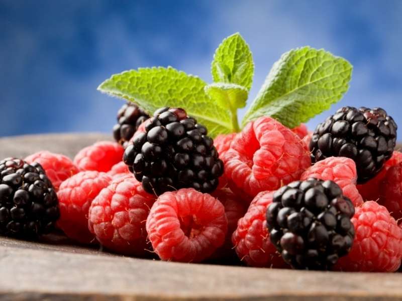 Food,Raspberry,Plants,Blackberry