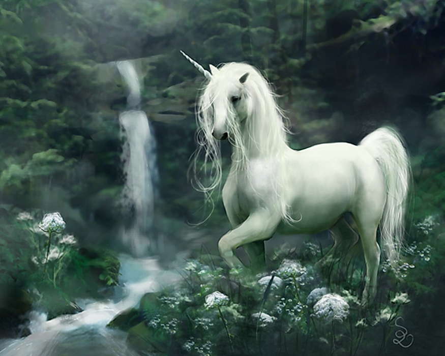 Animals, Fantasy, Horses, Unicorns