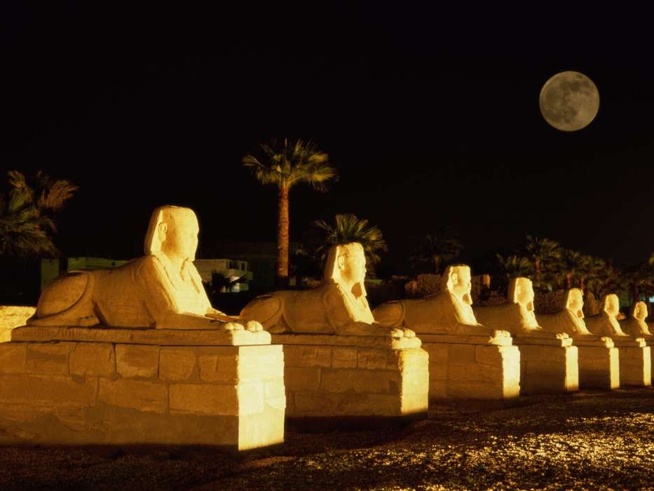 Egypt, Night, Landscape, Sphinx