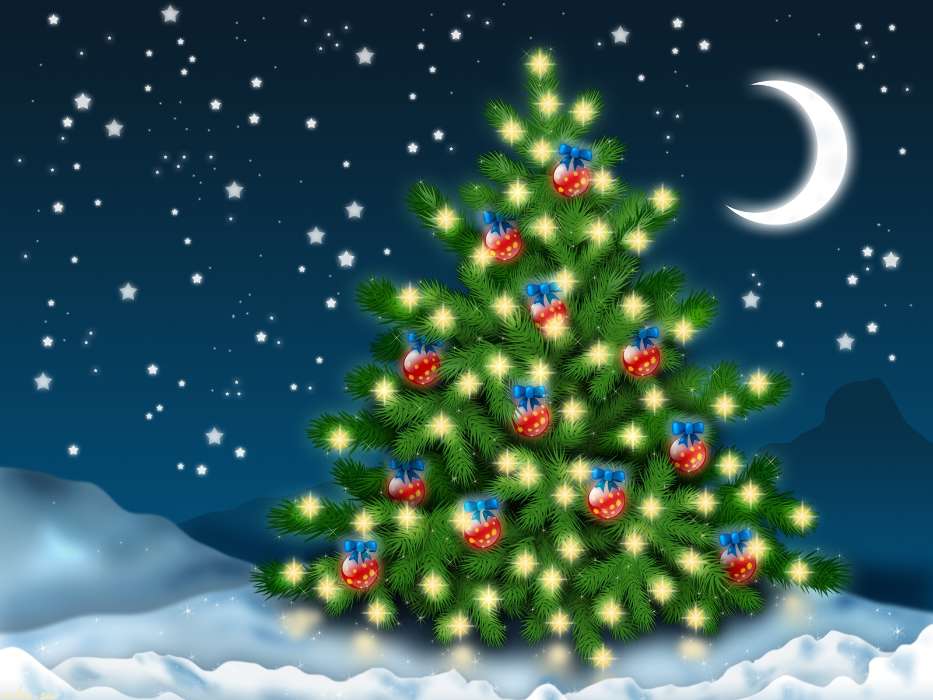 Fir-trees, Background, New Year, Christmas, Xmas, Snow, Winter