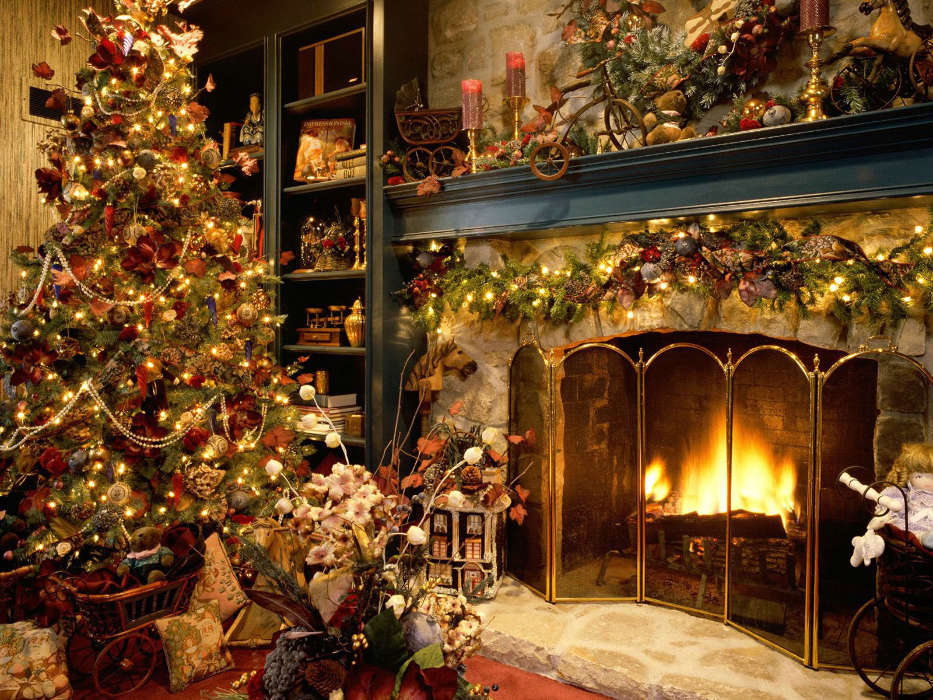 Fir-trees, New Year, Holidays, Christmas, Xmas