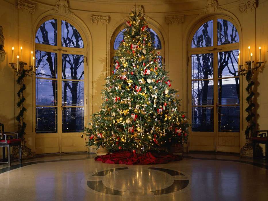 Holidays, New Year, Fir-trees, Christmas, Xmas
