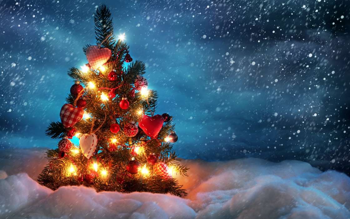Fir-trees, New Year, Holidays, Snow