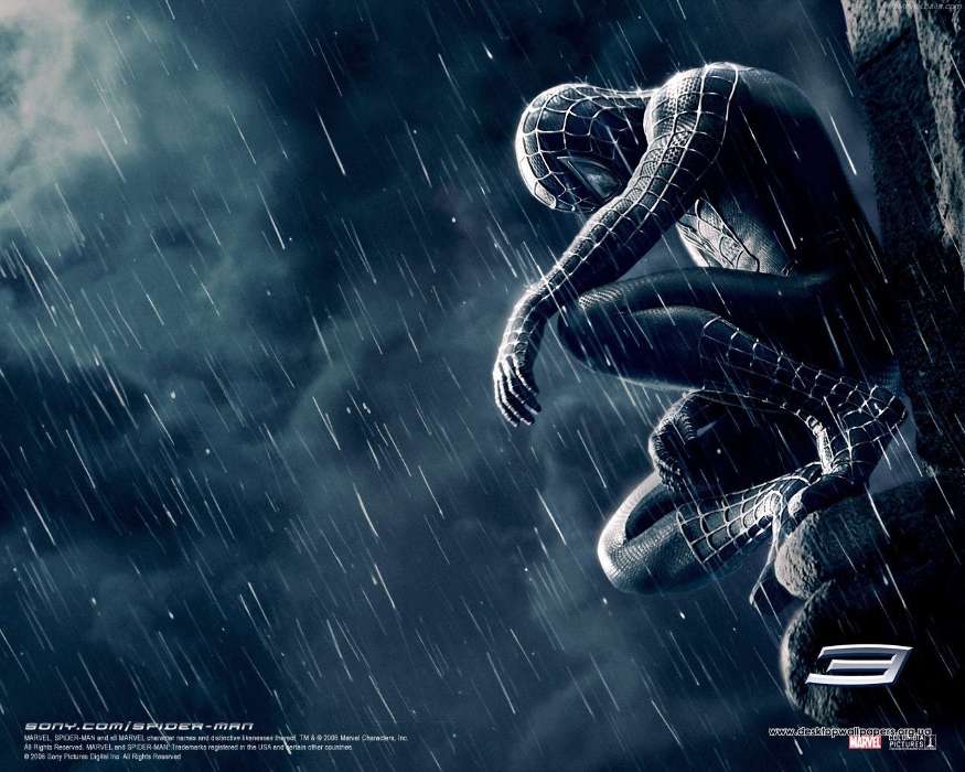 Cinema, Spider Man