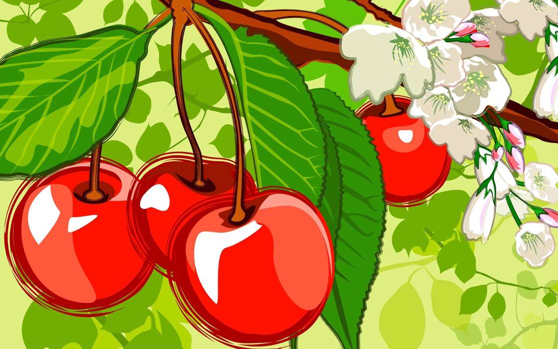Background, Fruits, Pictures, Cherry