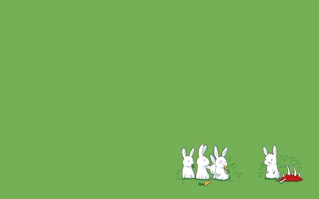 Background, Rabbits, Funny
