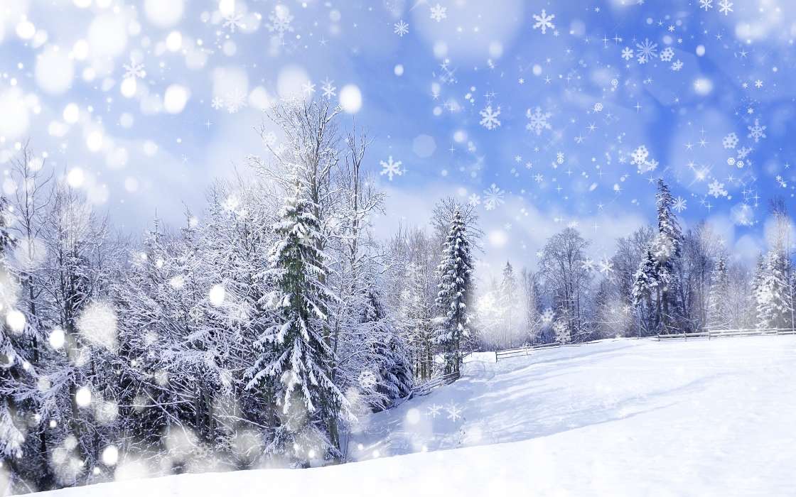 Background,Landscape,Snow,Winter