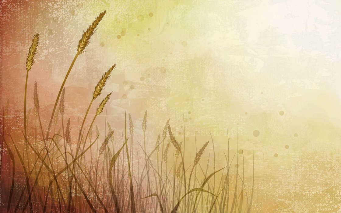 Background,Wheat