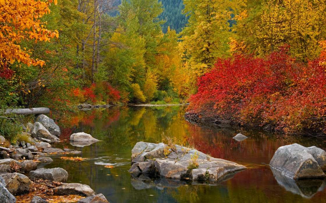 Landscape, Rivers, Stones, Autumn