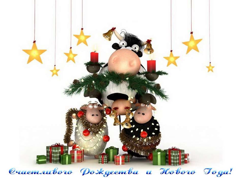 Holidays, New Year, Christmas, Xmas, Cows