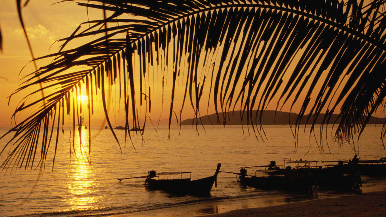 Boats, Sea, Palms, Landscape, Sunset