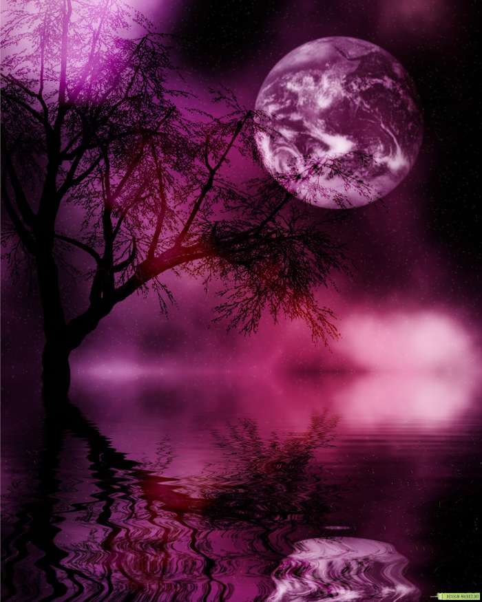 Landscape, Night, Moon
