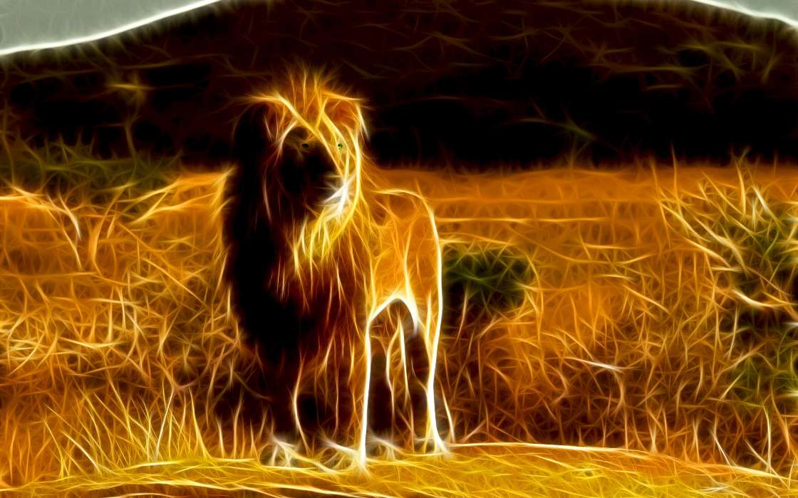 Lions,Pictures,Animals