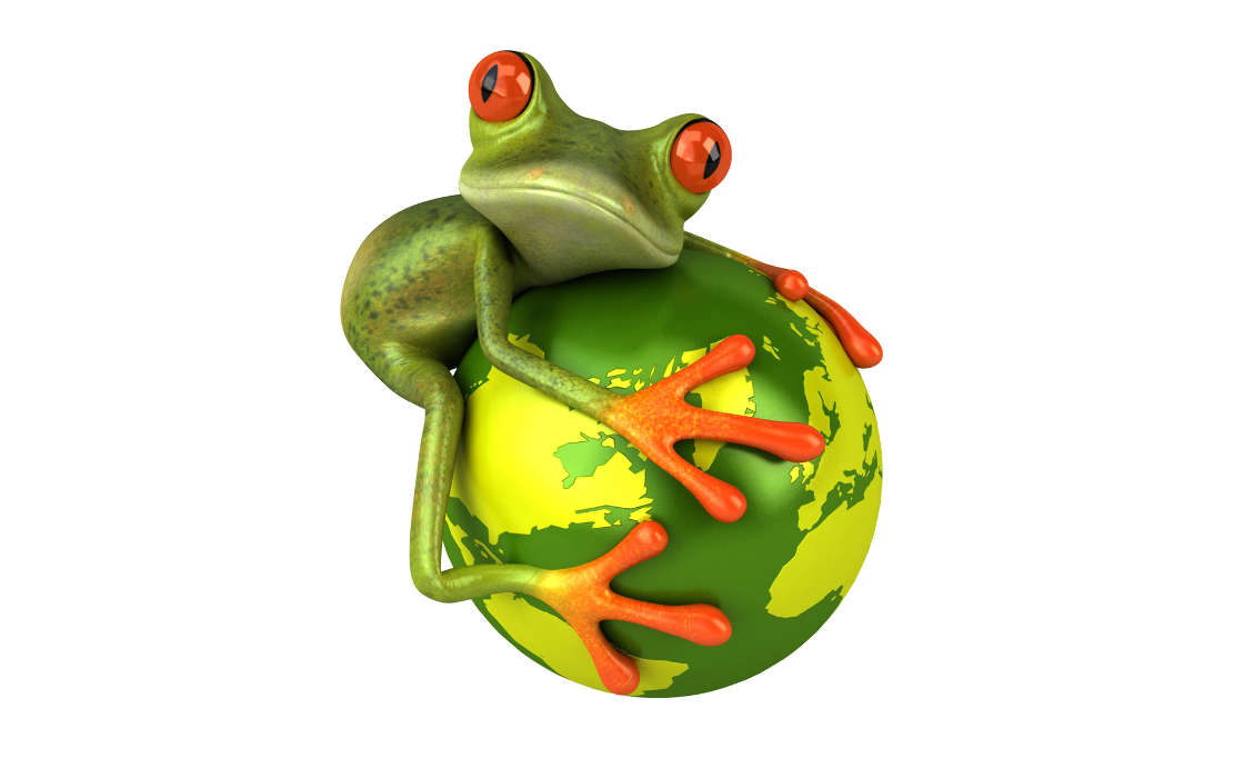 Frogs, Humor, Animals