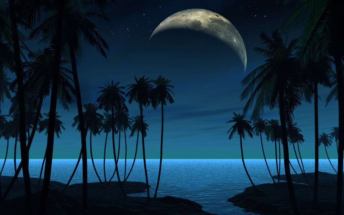 Sea,Night,Palms,Landscape
