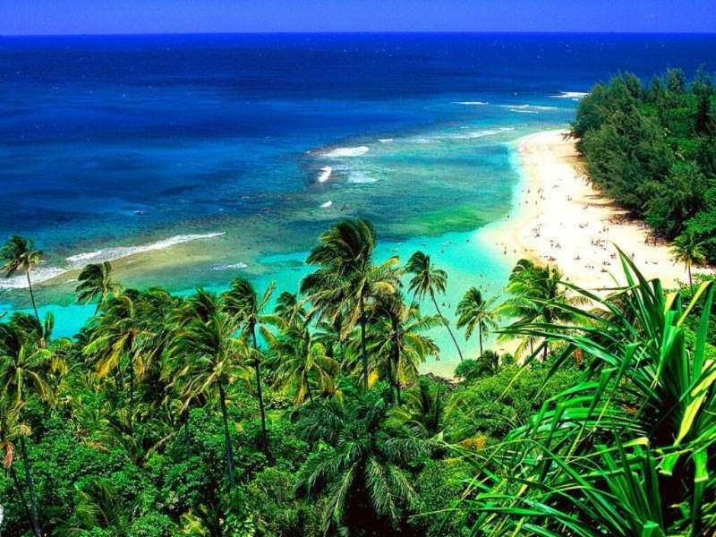 Sea,Palms,Landscape,Beach