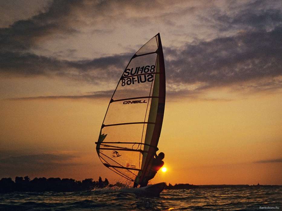 Sport, Sunset, Sea, Windsurfing
