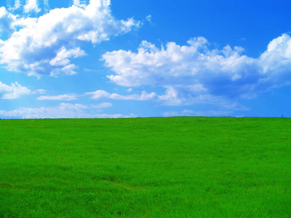 Landscape, Grass, Sky, Clouds