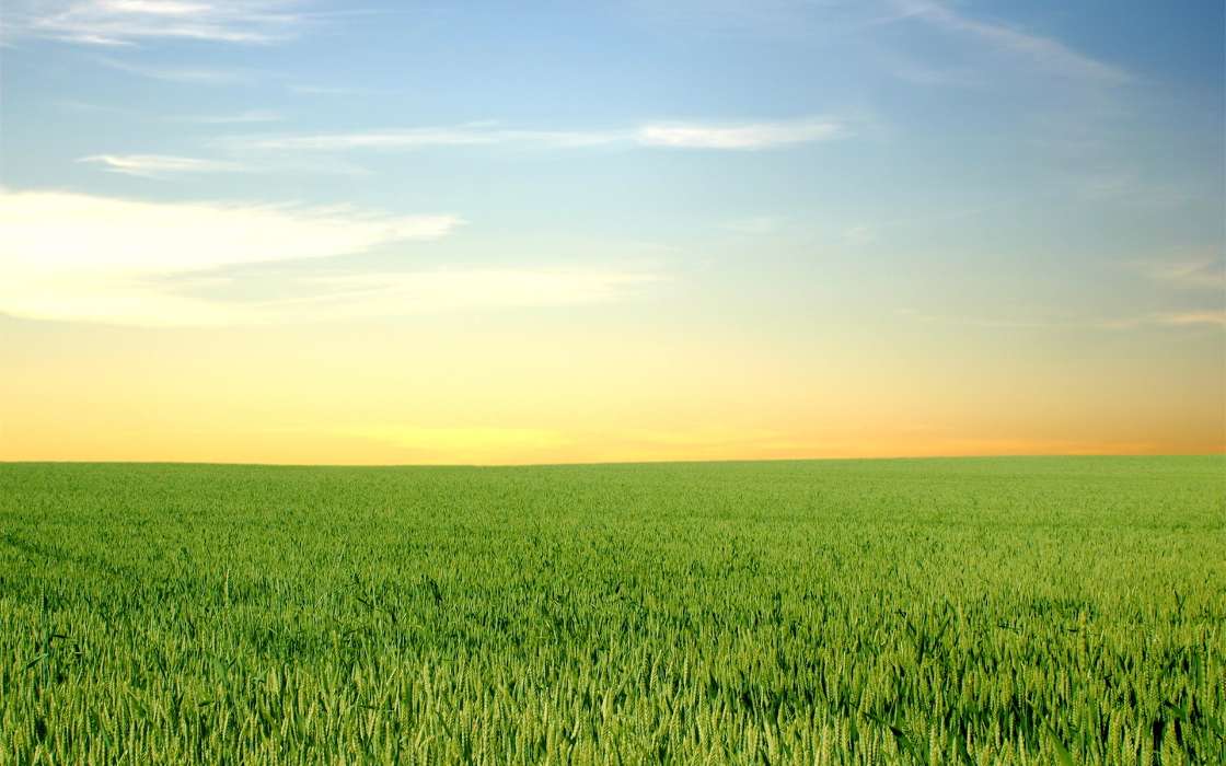 Landscape, Grass, Fields, Sky
