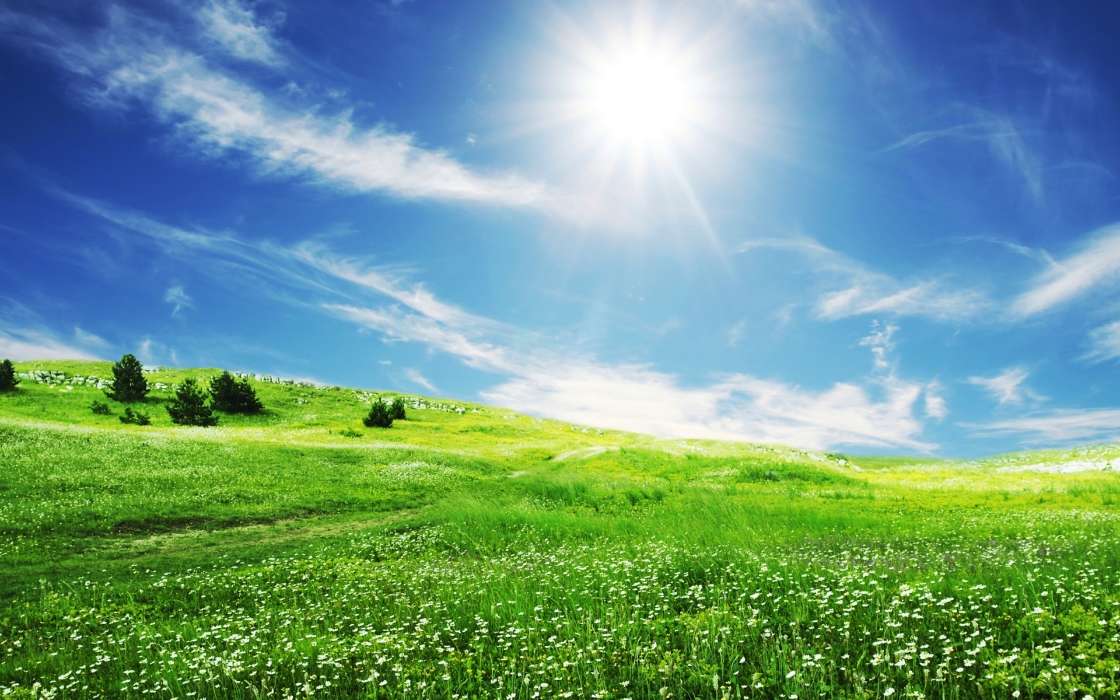 Landscape, Grass, Sky, Sun